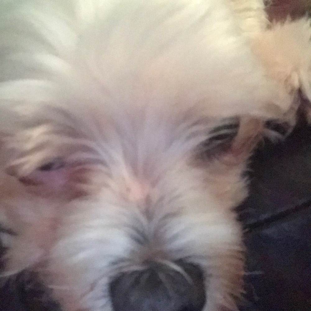 Meet your Posher, Virginia